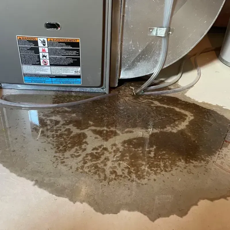 Appliance Leak Cleanup in Port Reading, NJ